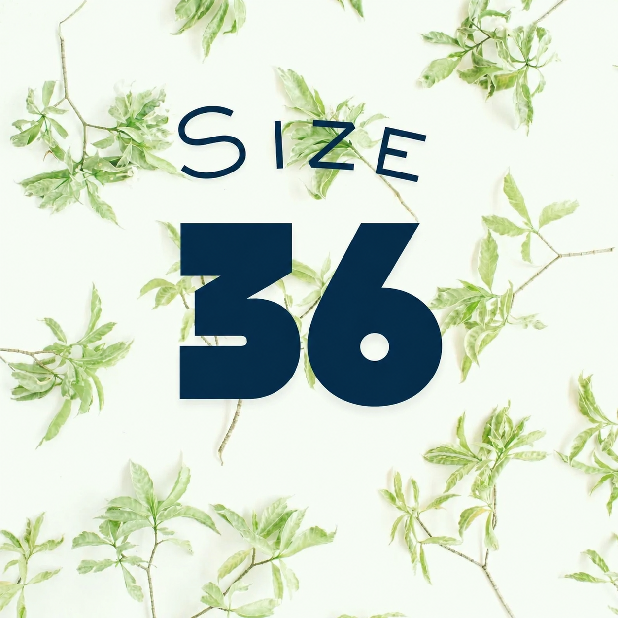 Size 36