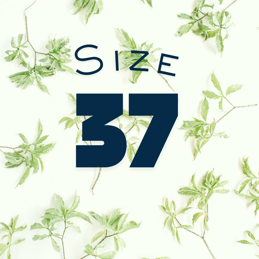 Size 37