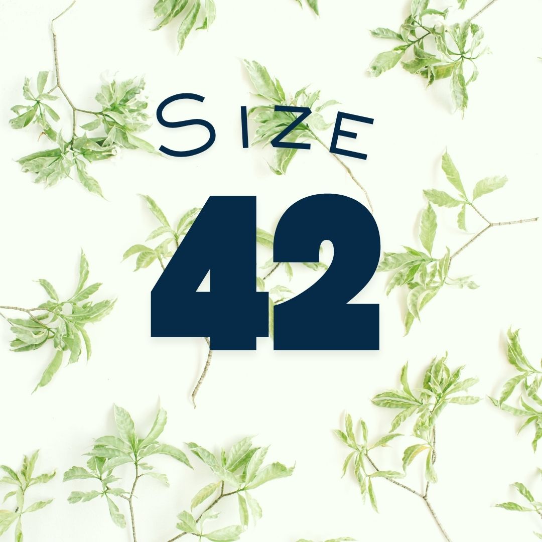 Size 42