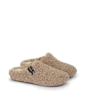 Verbenas York Curly